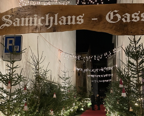 FG Steinhausen | 2025 | Ausflug | Weihnachtsmarkt | Bild4