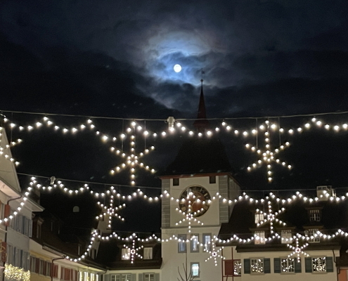 FG Steinhausen | 2025 | Ausflug | Weihnachtsmarkt | Bild8