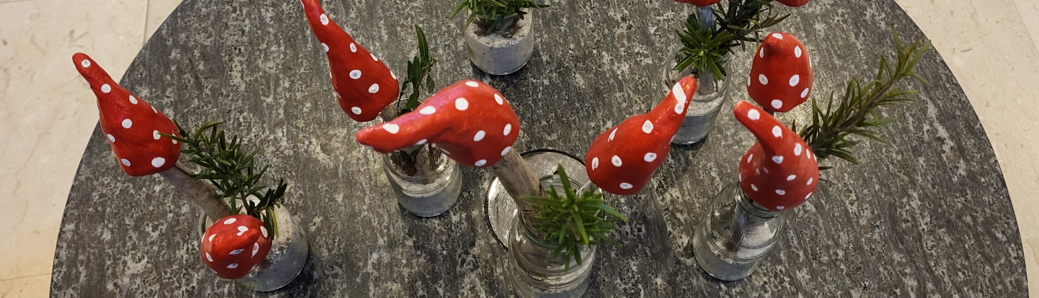 FG Steinhausen | 2026 | GV | Slider3